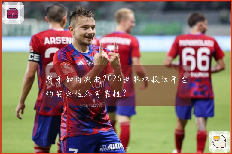 新手如何判断2026世界杯投注平台的安全性和可靠性？