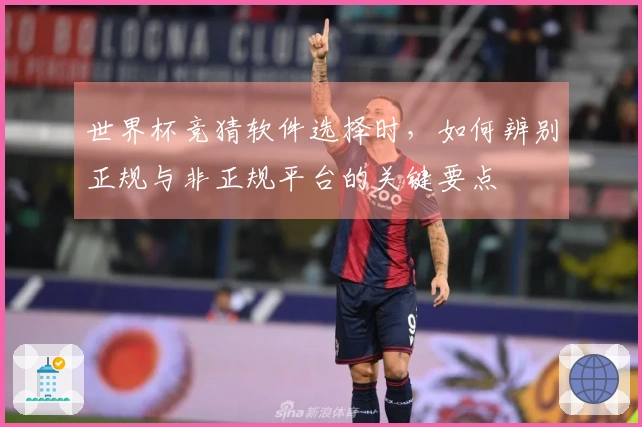 世界杯竞猜软件选择时，如何辨别正规与非正规平台的关键要点
