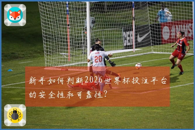新手如何判断2026世界杯投注平台的安全性和可靠性？